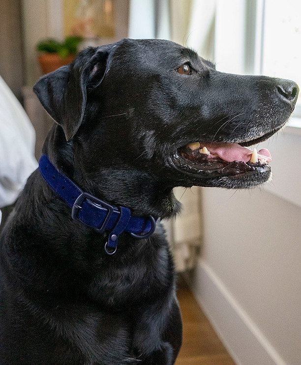 Handbags Dezine News Accessories Fashion Accessories Wholesaler